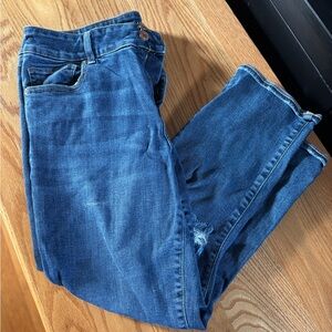 American Eagle Outfitters Blue Ankle Jeans